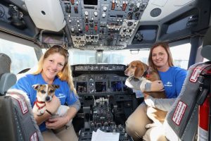 Animais domésticos vítimas do furacão Sandy ganham  novo lar na Califórnia