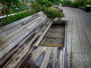 High Line irá reabrir oficialmente no dia 16 de julho