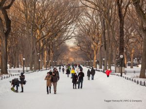 A maior tempestade de neve em Nova Iorque em anos em lindas fotos no Instagram