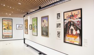 AKC Museum of the Dog anuncia novos eventos de verão