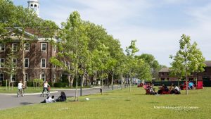 Governors Island de Nova Iorque reabriu no dia 1º de maio