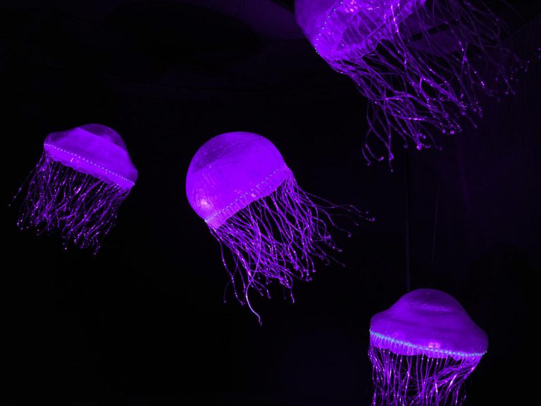 Creatures of Light é a exposição que explora a bioluminescência no Museu Americano de História Natural