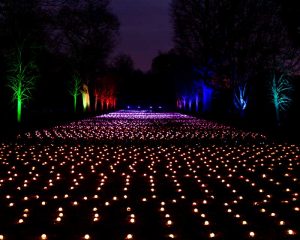 O Jardim Botânico do Brooklyn anunciou que sediará o Lightscape neste inverno