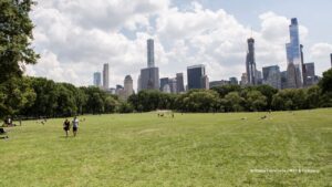 Great Lawn estará fechado ao público no Central Park até abril
