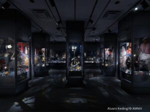 Uma exposição de joias de hip-hop no Museu Americano de História Natural