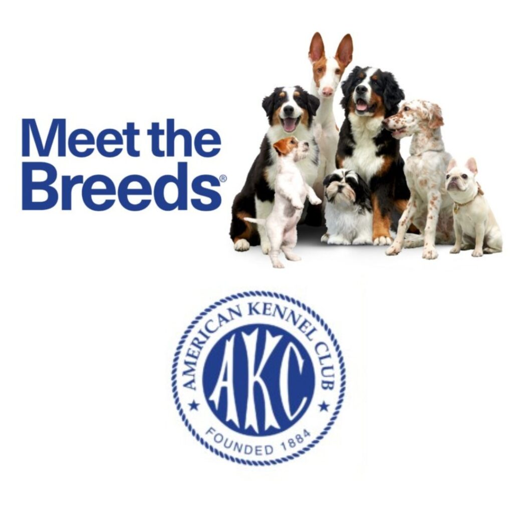 akc meet the breeds
