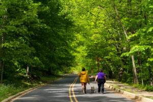 Washington, DC: exemplo de sustentabilidade urbana nos Estados Unidos