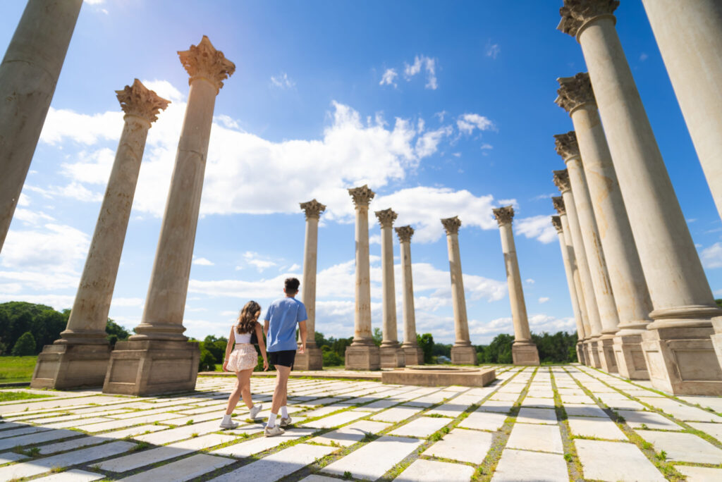united states national arboretum
