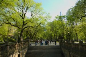 Temporada de Shakespeare grátis no Central Park começa em junho com “All’s Well That Ends Well”