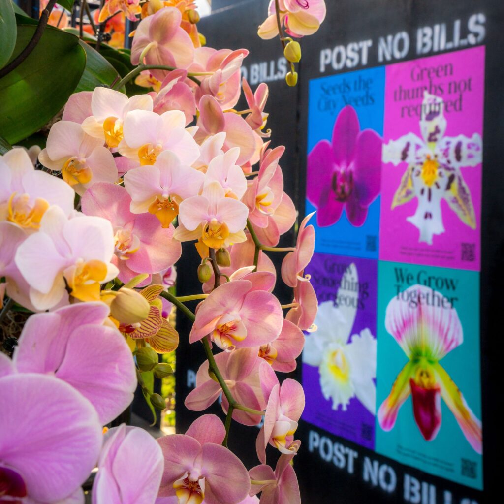 New York Botanical Garden’s Orchid Show